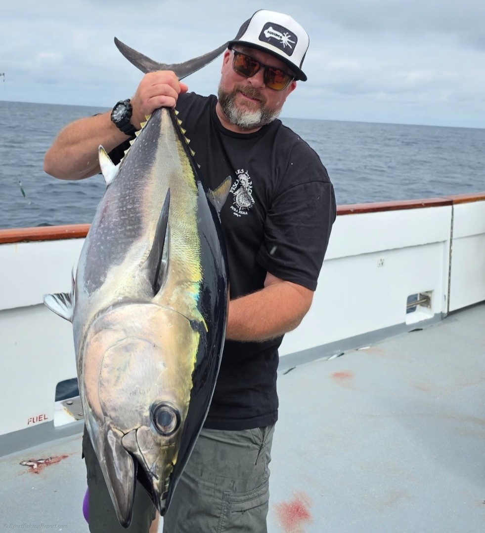 Very good bluefin fishing!