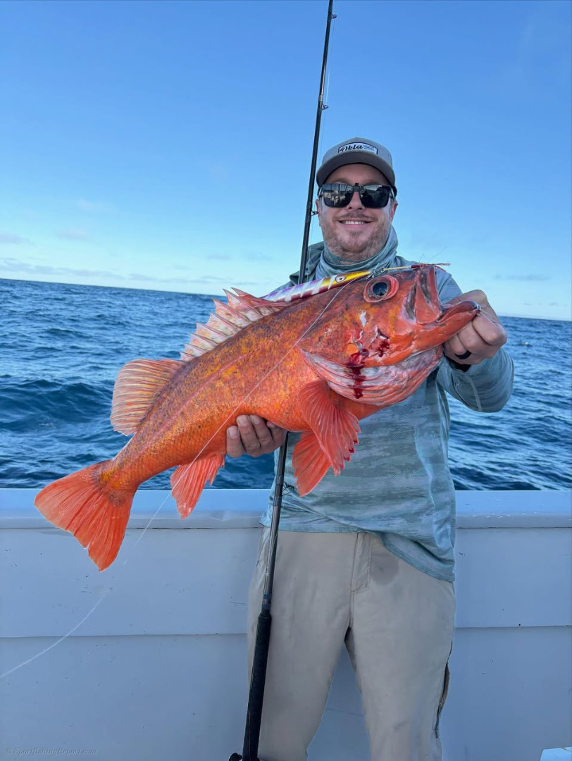 Fish report photo