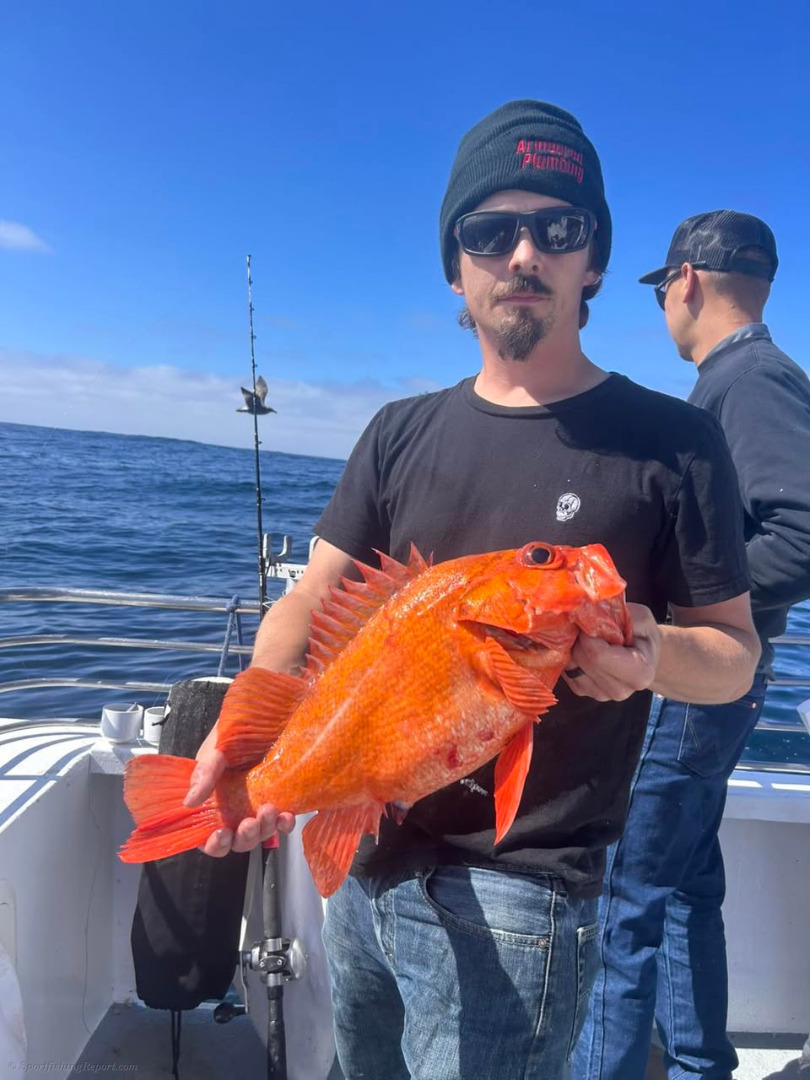 Some bumpy weather but found nice conditions down south