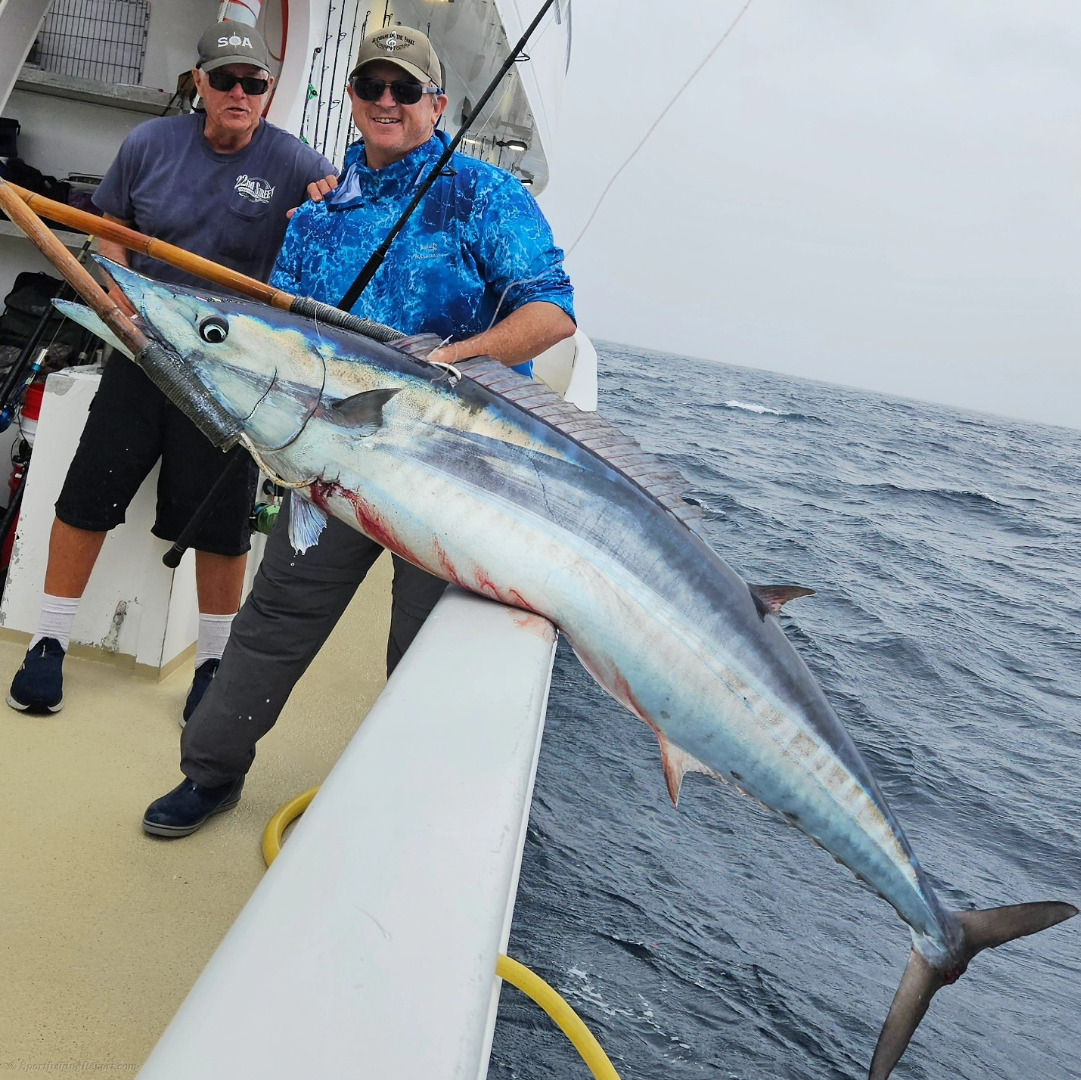 Premium sized yellowfin and large wahoo