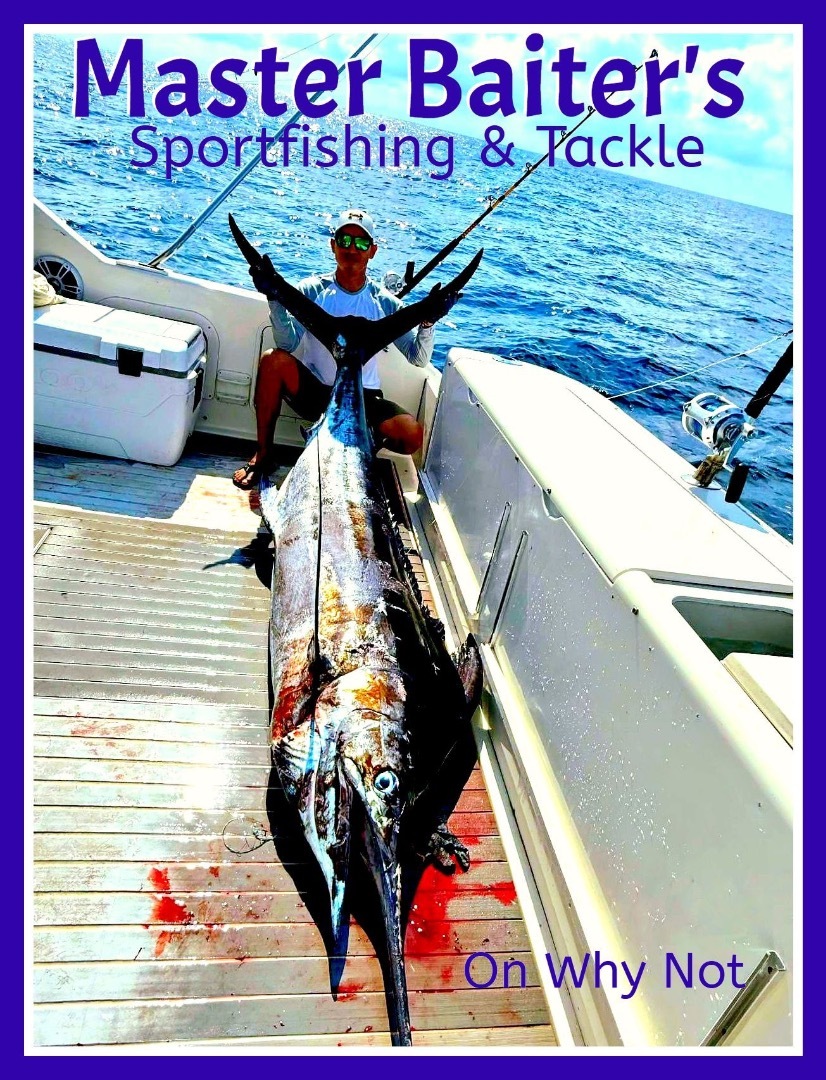 Puerto Vallarta Fishing Explodes, Marlin, Sailfish, Yellowfin Tuna