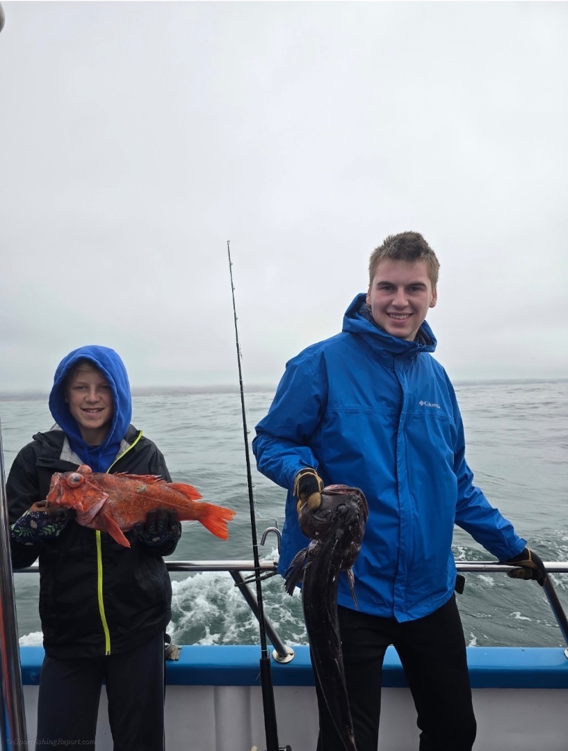 Fish Report - Cover Photo