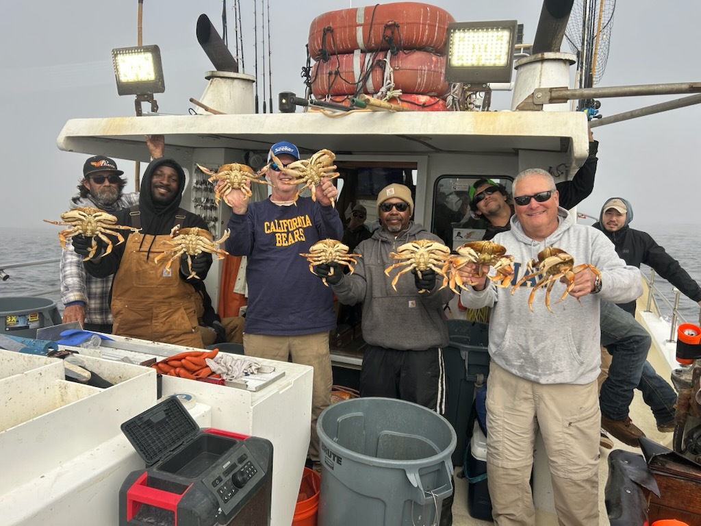 Wide open crab and rockfish