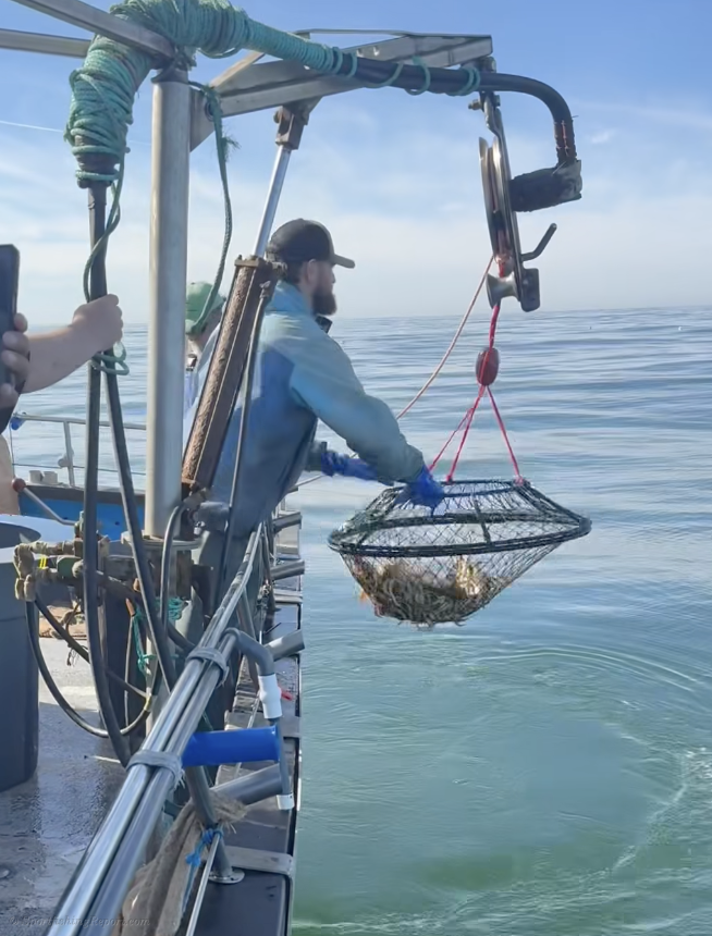 New Huck Finn Weekend Report