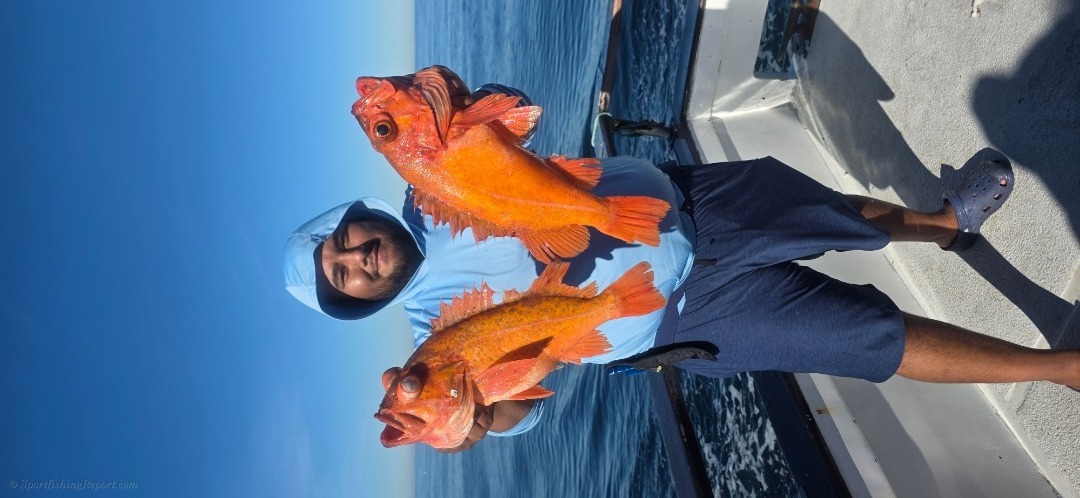 San Nicholas  Island 