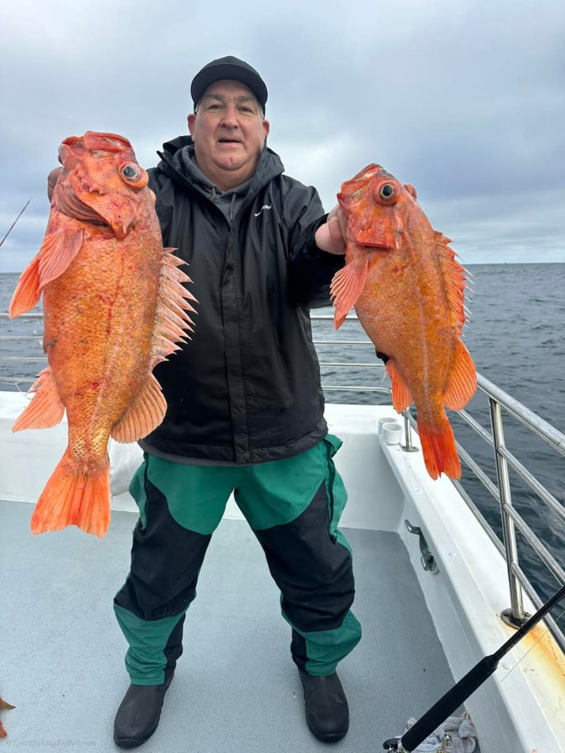 Got into some BIG reds today