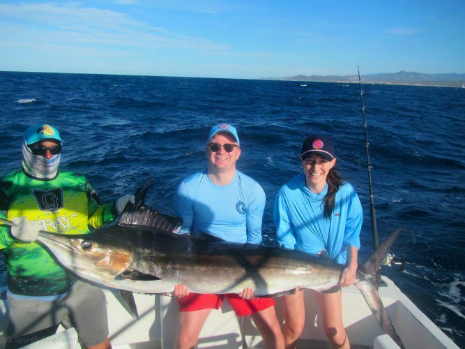 Striped Marling up to 150lbs. 