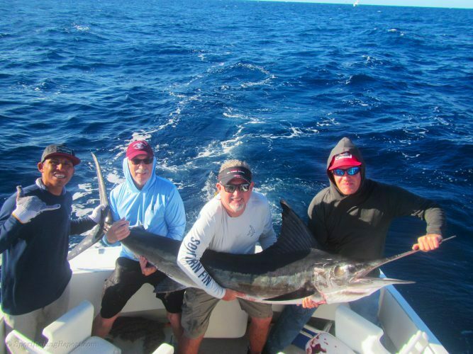 120 lb. Striped Marlin