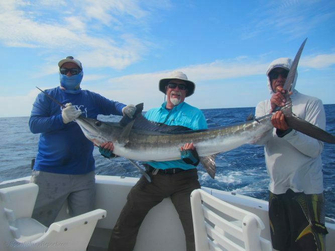 130 lb. Striped Marlin