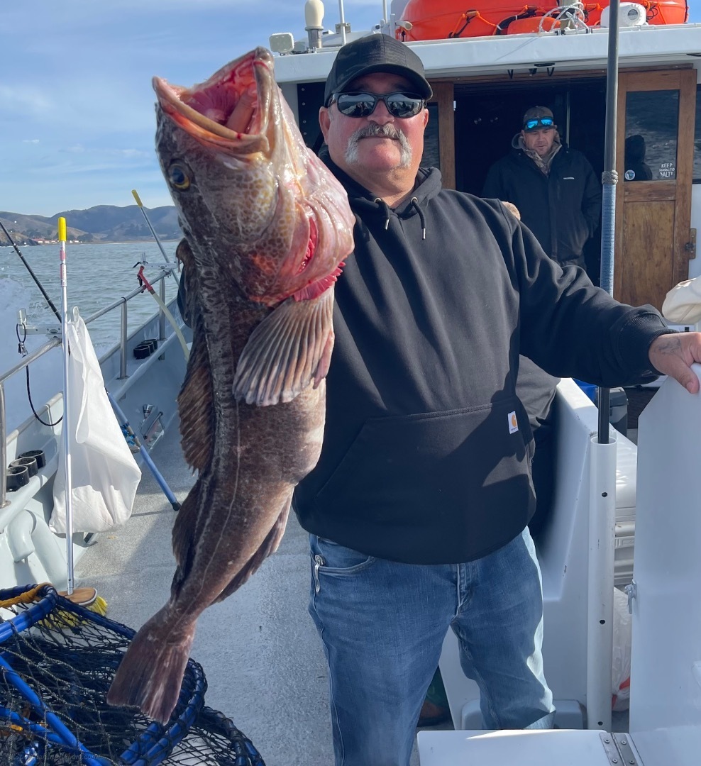 * LIMITS LIMITS LIMITS !! *