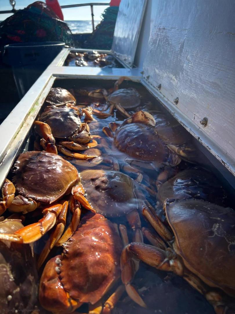 We have room this Thursday and Saturday to get your holiday appetizers