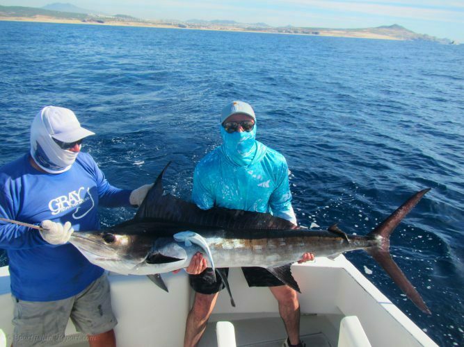120 lb. Striped Marlin