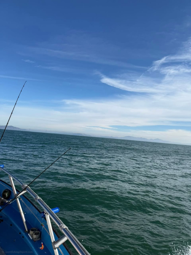 Limits of Rockfish and Crab