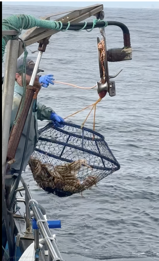 Flat calm, weather, wide-open rock fishing and crabbing