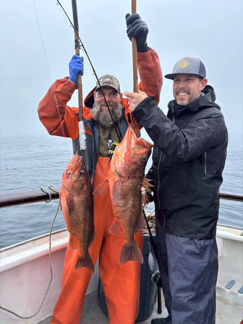 Both bots out and done early 