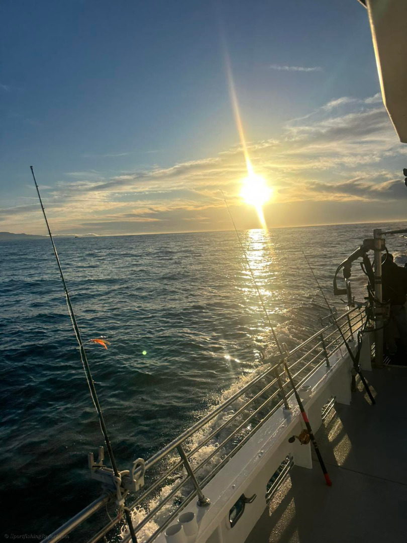 The Dungeness crab bite was solid again