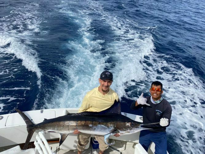 One 110 LB. Striped Marlin