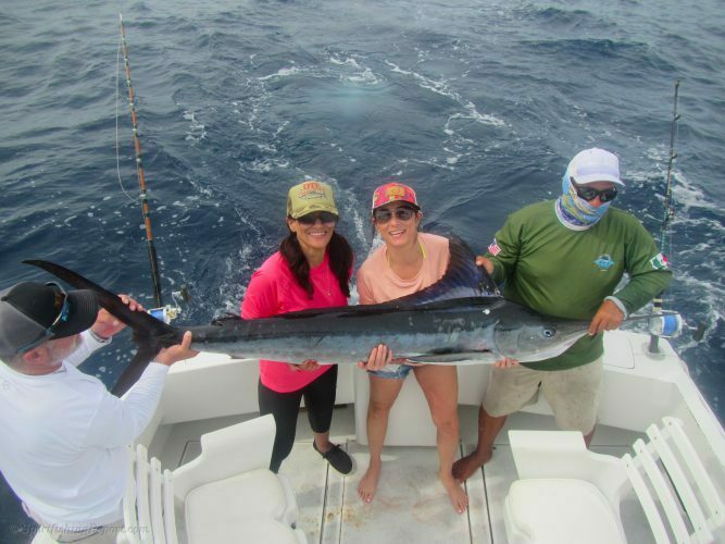 Three 110-140 LB. Striped Marlin