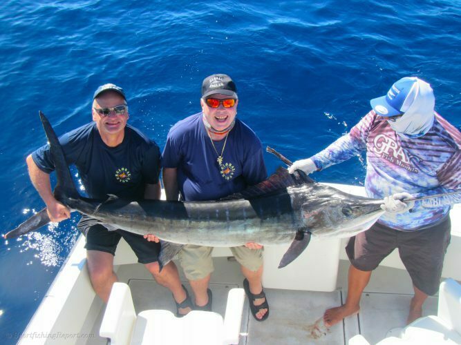 Six 110-130 LB. Striped Marlin
