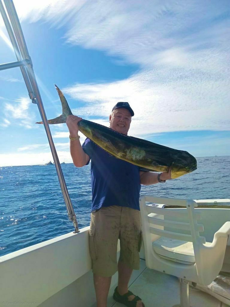 Two 110-120 LB. Striped Marlin and a 20 LB. Dorado