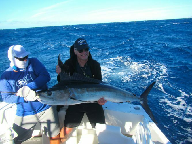 Two 110-120 LB. Striped Marlin