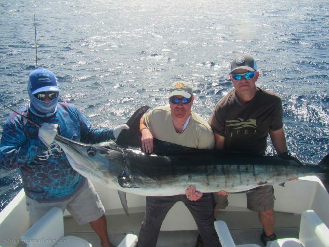 One 160 LB. Striped Marlin and Two 30-35 LB. Dorado