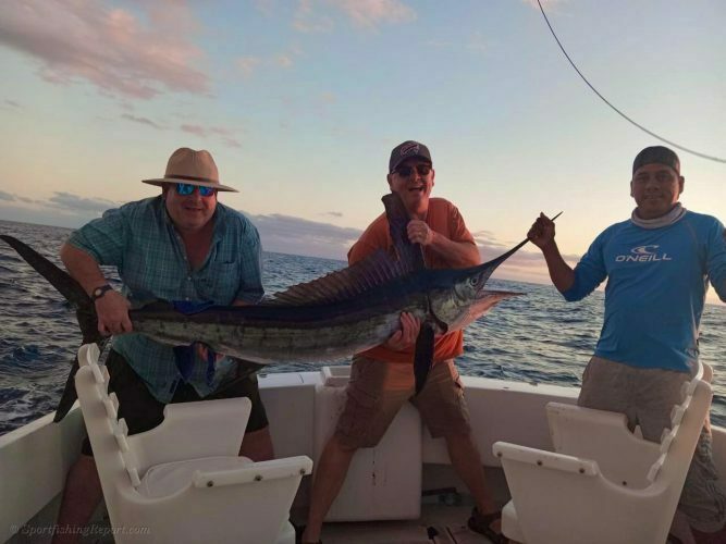  One 100 LB. Striped Marlin