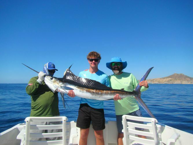 One 120 LB. Striped Marlin