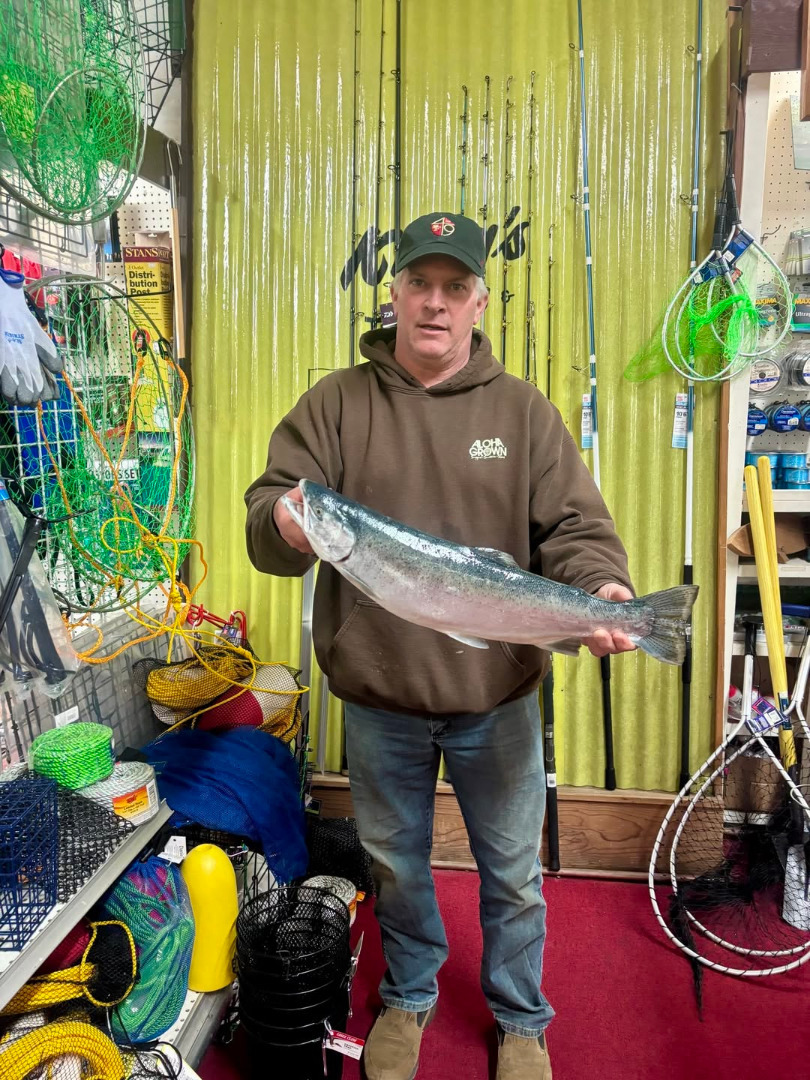 Currently the Russian is under 800 cfs at Hacienda with a beautiful green color