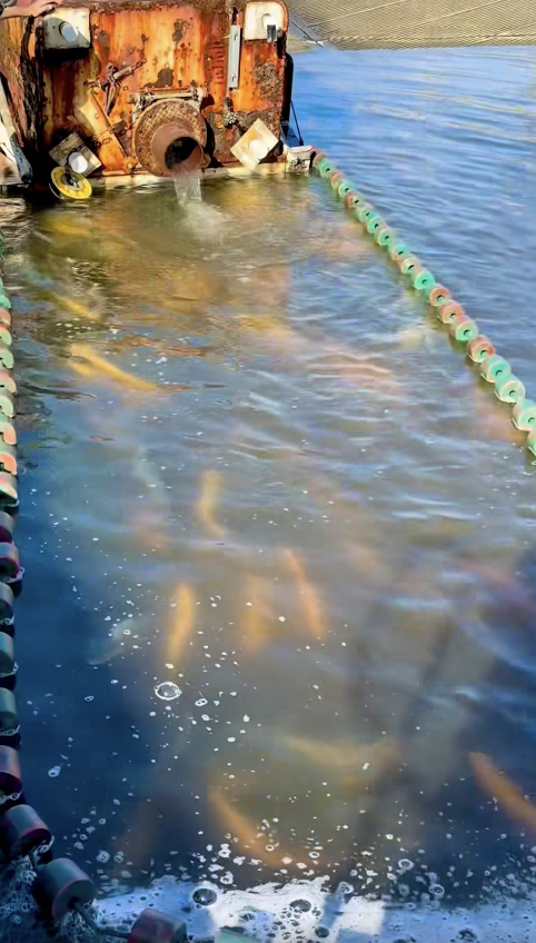 MORE TAGGED DERBY TROUT STOCKED TODAY!!