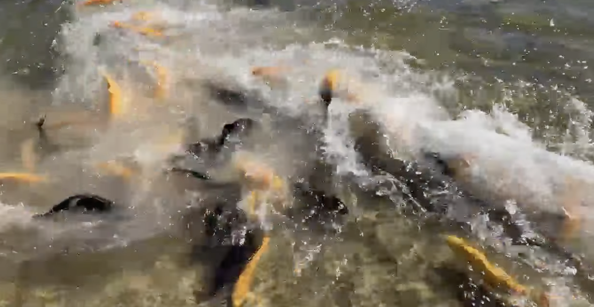 Freshly stocked and ready for you. 🎣