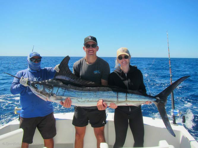 One 120 LB. Striped Marlin