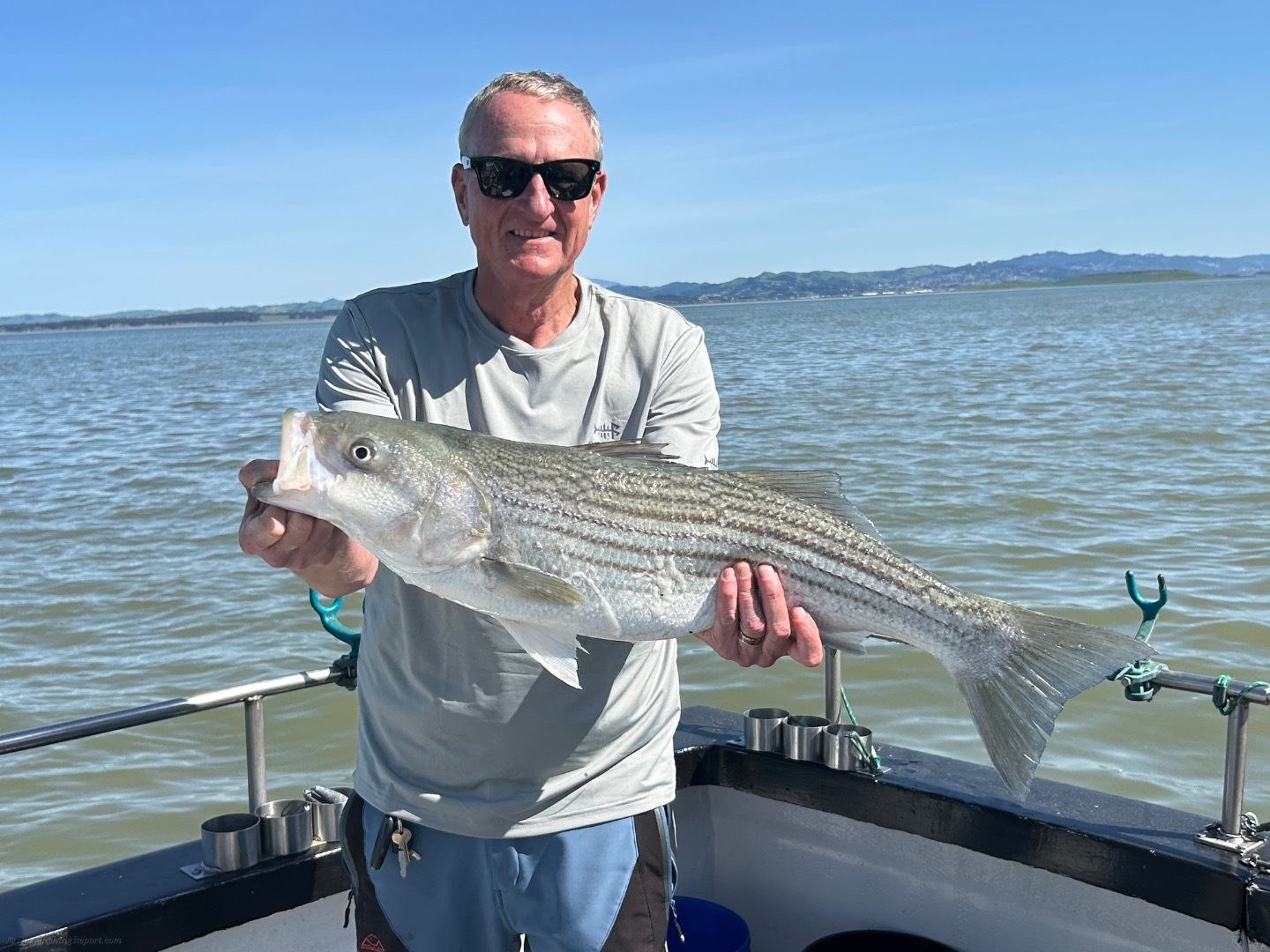 Bass and sturgeon today