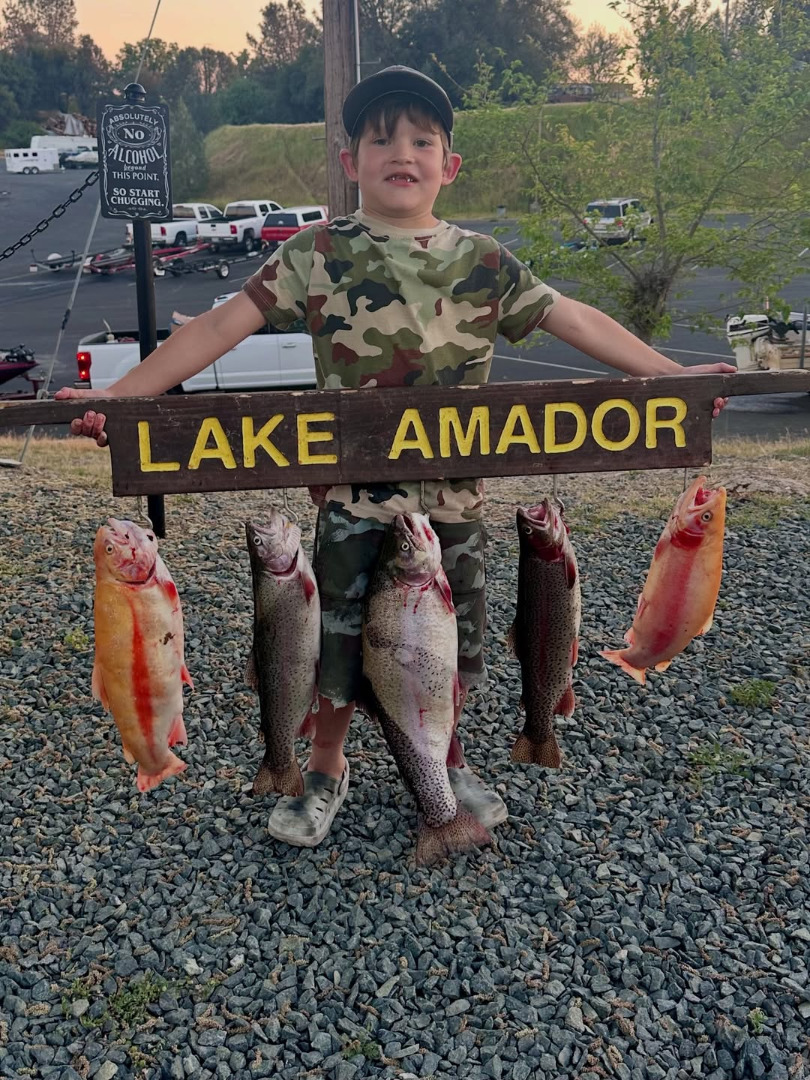 Monster haul of trout 