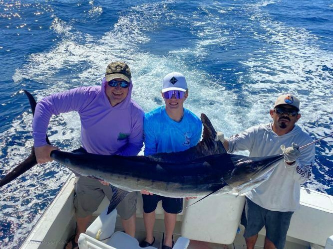 One 120 LB. Striped Marlin