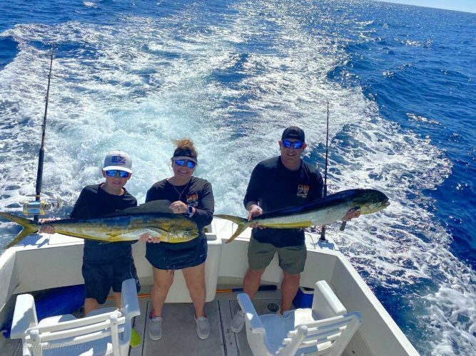  Two 15-20 LB. Dorado