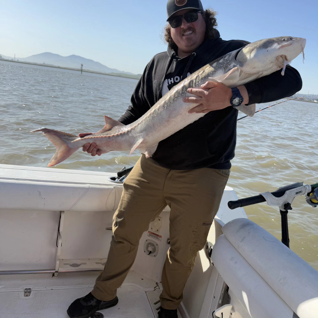 🔥 SUMMER SPECIAL IS HERE – LET’S GO FISHING 🔥