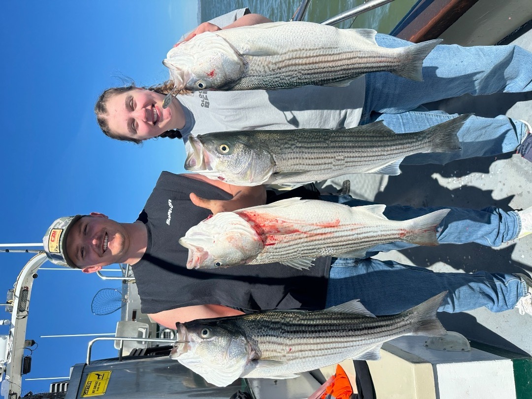 LIMITS OF QUALITY BASS AGAIN!!!