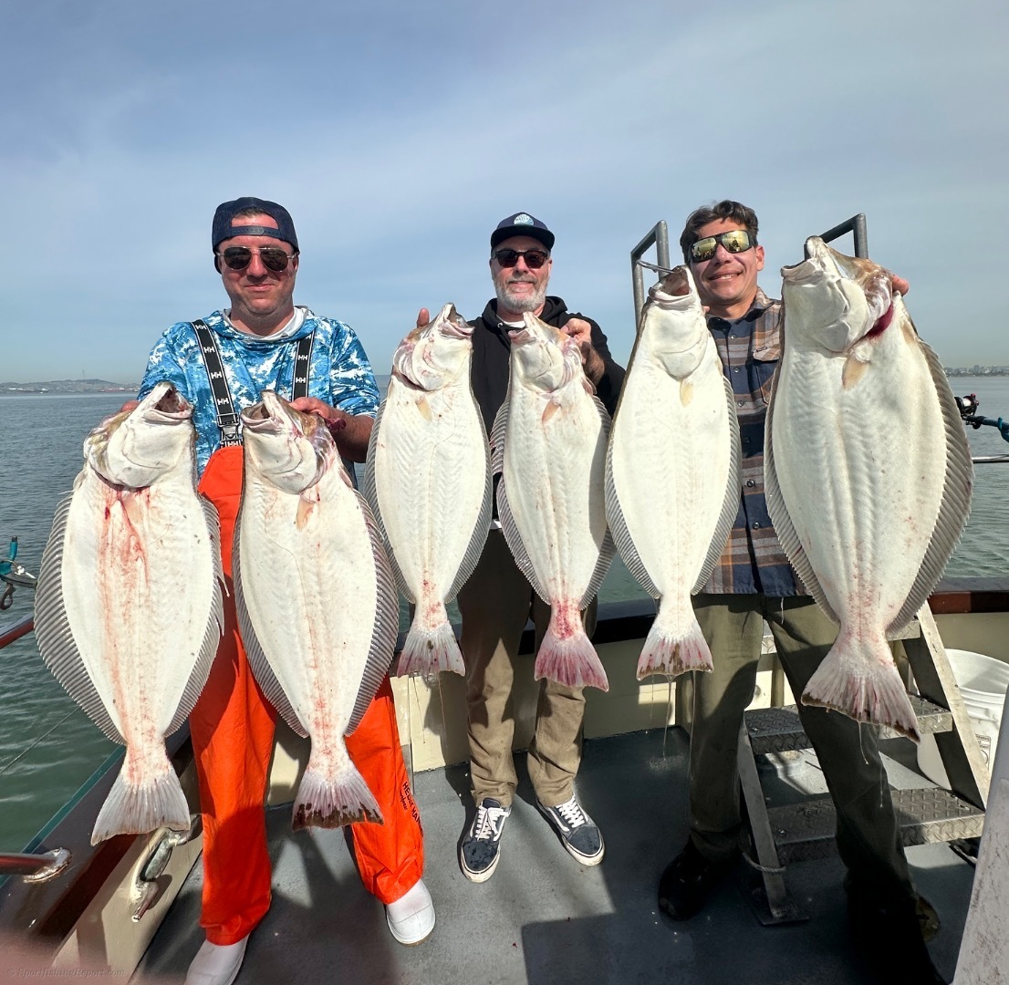 EARLY LIMITS OF HALIBUT!!!!