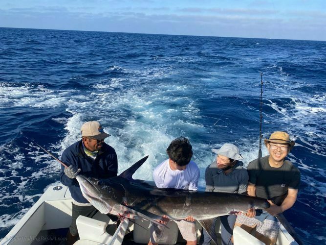  Two 120-130 LB. Striped Marlin