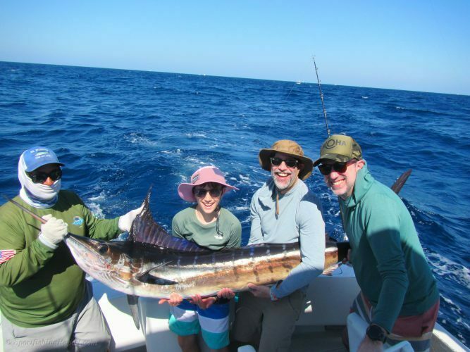 One 130 LB. Striped Marlin