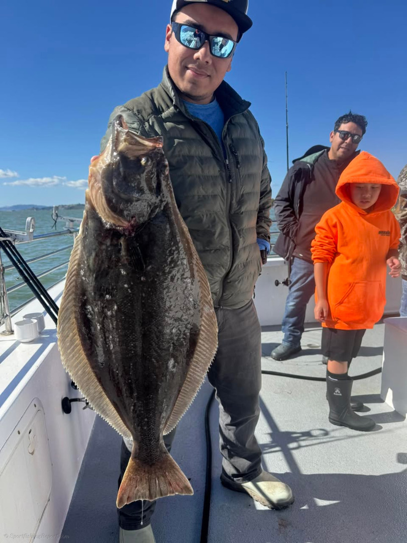 The halibut were biting like piranhas at times today