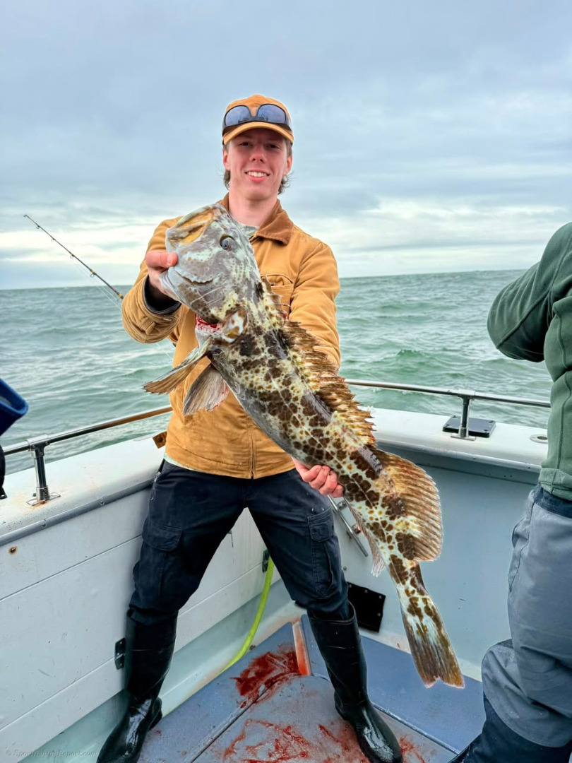 Very productive day of bottom fishing