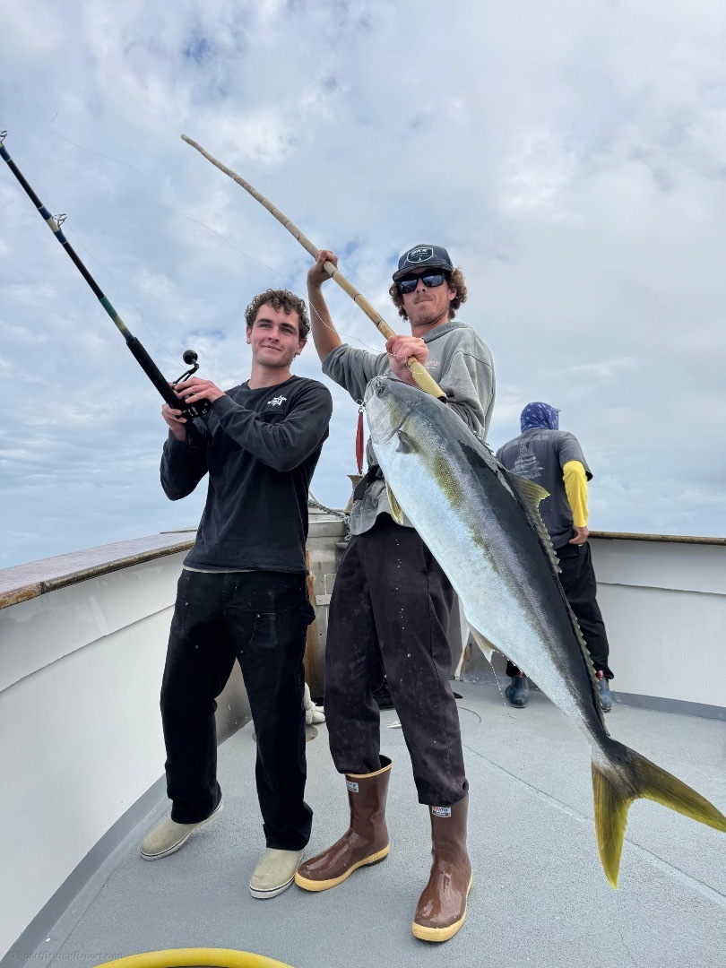 Quality and quantity!