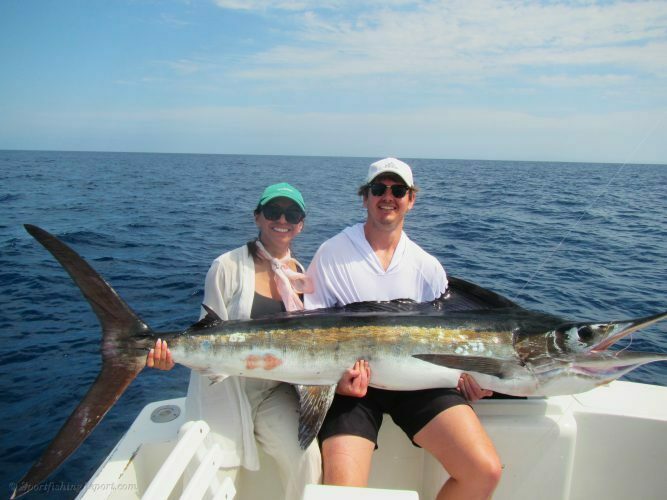 One 90 LB. Striped Marlin