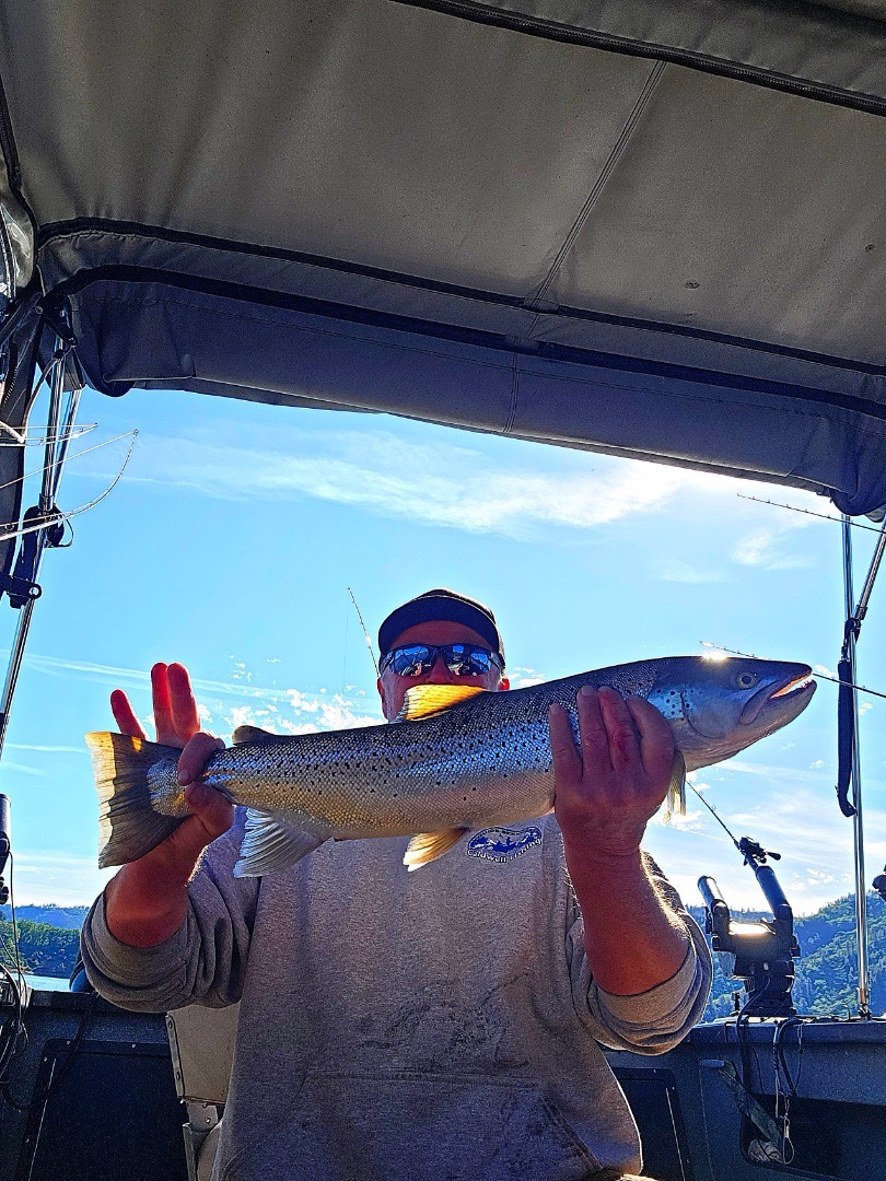 Shasta Lake Trout Action