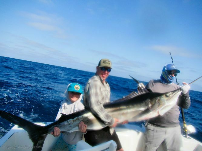 One 100 LB. Striped Marlin