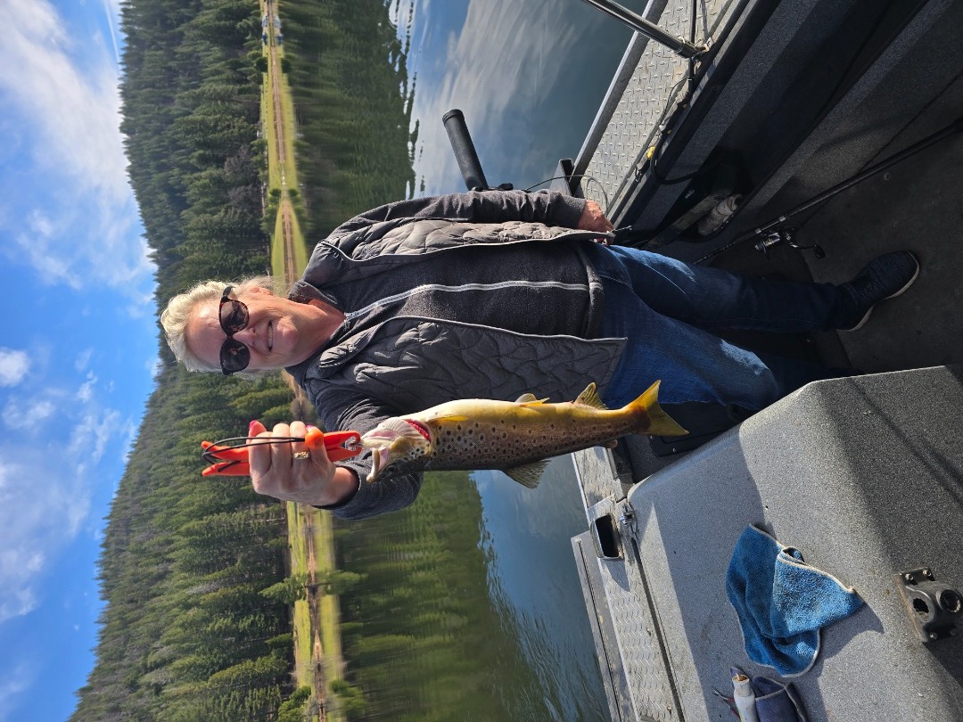 Brown day on Lake Siskiyou