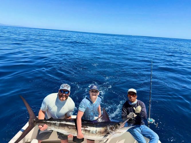 One 120 LB. Striped Marlin