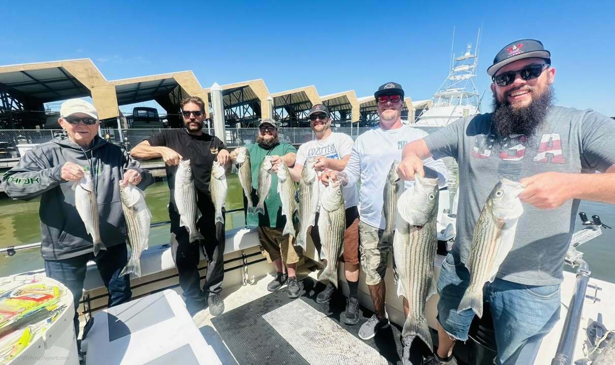 Todays group scored FULL LIMITS of stripers today on the delta